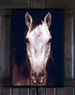 Buckskin Horse Canvas Art